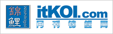 itkoi.com