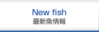 Newfish